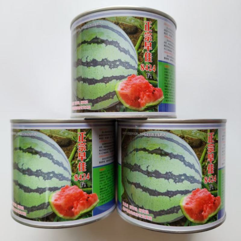 新美都西瓜种子早熟品种