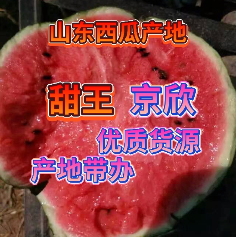 西瓜甜王西瓜山东大棚西瓜产地直供代办一手货源西瓜大量批发