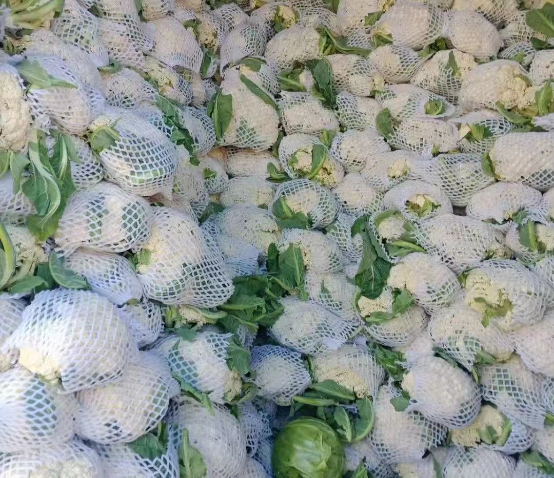 松花菜与西兰花并列摆放,展示其外观差异 松花菜与西兰花对比图