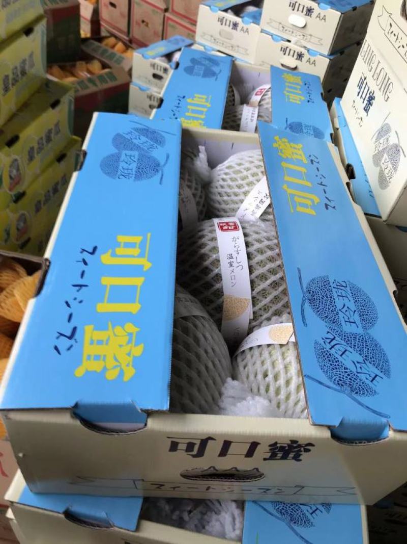 海南玫珑蜜瓜哈密瓜冰淇淋瓜一件代发包邮水果店1000斤起