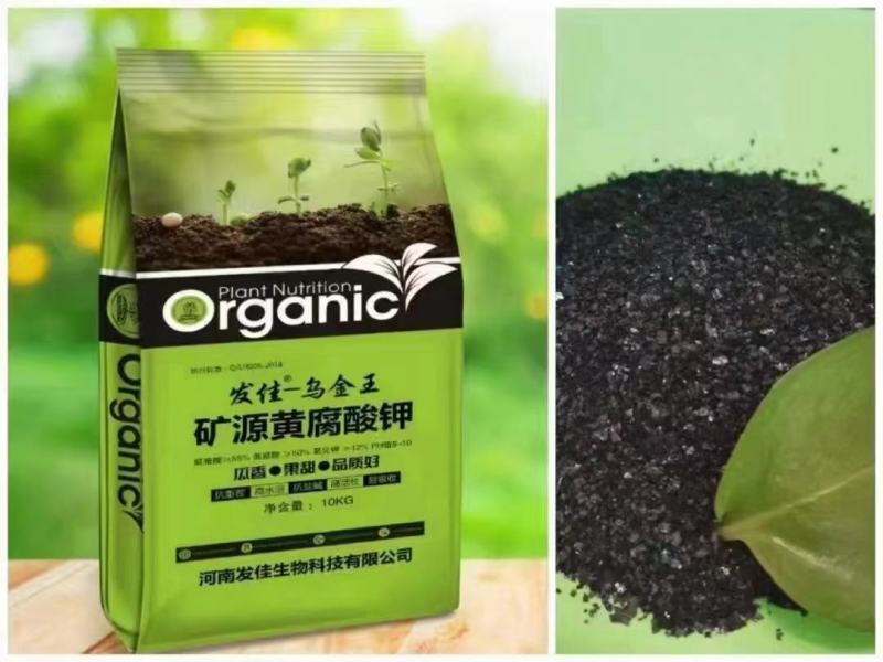 矿源黄腐酸钾优等品生根改土肥抗重茬片状晶体微颗粒新疆原料