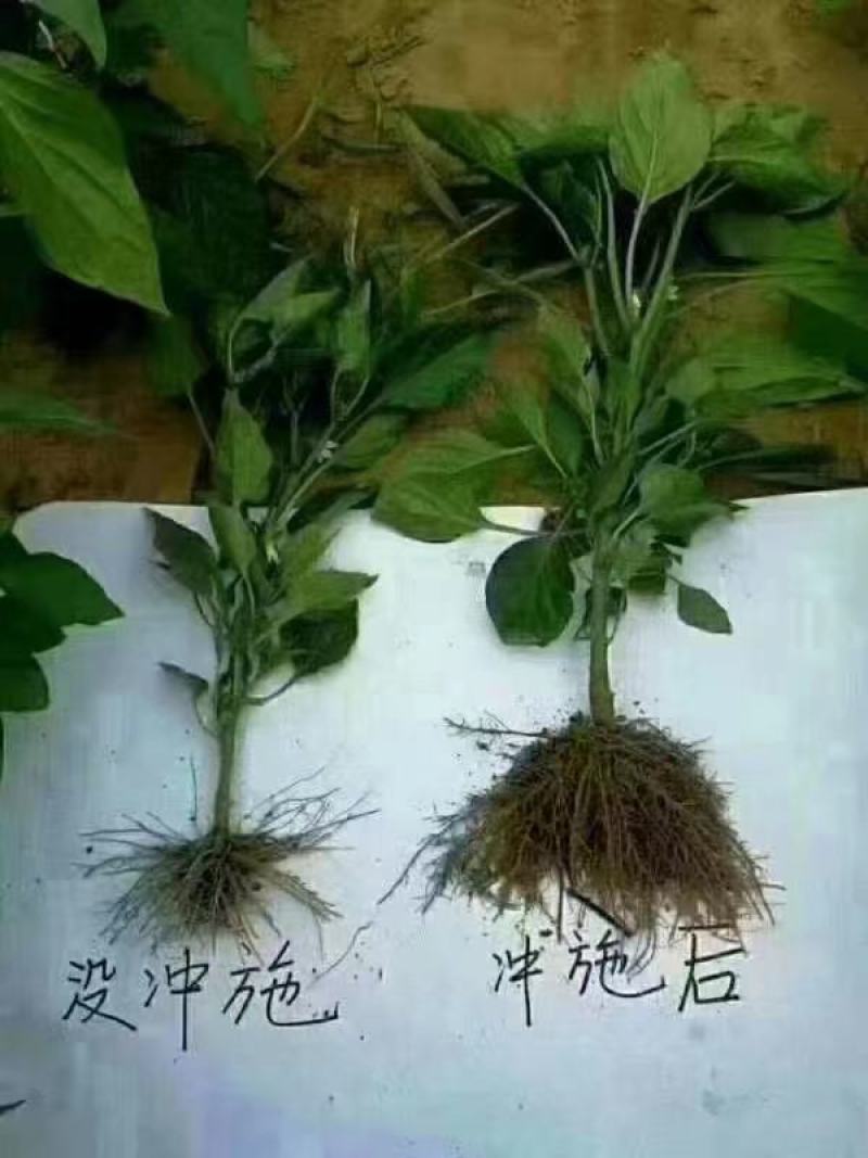 矿源黄腐酸钾优等品生根改土肥抗重茬片状晶体微颗粒新疆原料