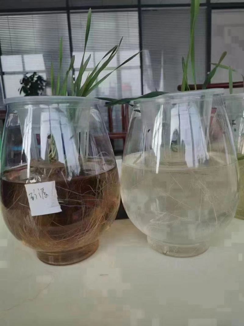 矿源黄腐酸钾优等品生根改土肥抗重茬片状晶体微颗粒新疆原料