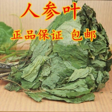 人参叶中药材特级正品包邮