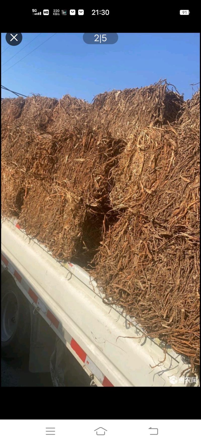 桑白皮，药厂货，符合国家药品安全无沙无泥土