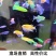观赏鱼小型热带鱼大帆蝶翼长尾红蓝荧光斑马鱼冷水鱼练手活体