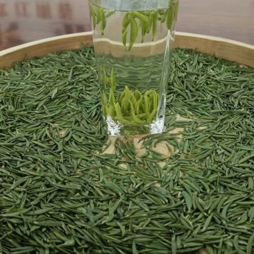 贵州凤冈锌硒茶！毛峰毛尖雀舌绿宝石遵义红！大量口粮茶上市