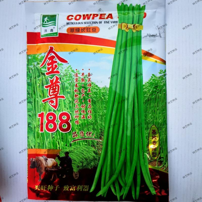 金尊188豇豆种子荚条顺直粗长肉厚口感软糯结荚多抗病高产