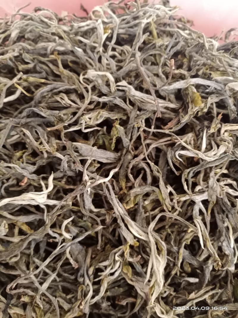 春茶