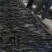 海带养殖场干海带海带干海带片海带皮海带丝海带头干海带头