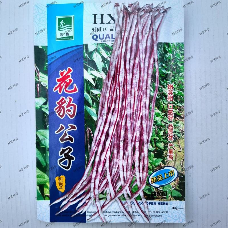花豹公子豇豆种子早中熟品种红白相间不易老化糯性品种