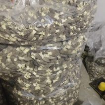 羊肚菌干货