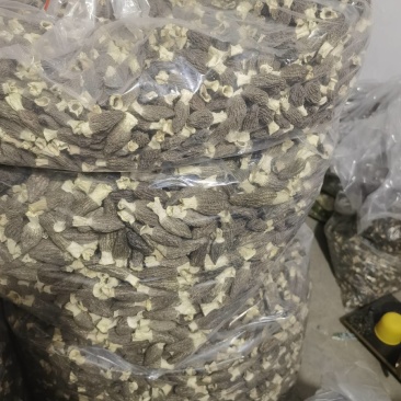 羊肚菌干货