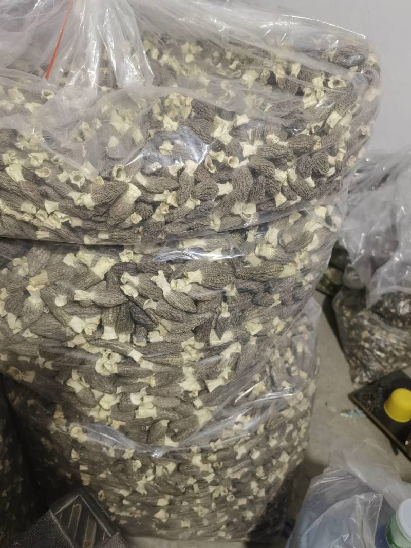 羊肚菌干货