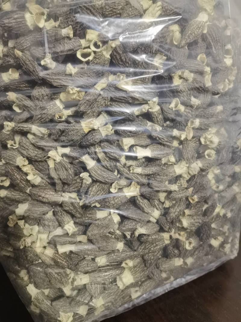 羊肚菌干货