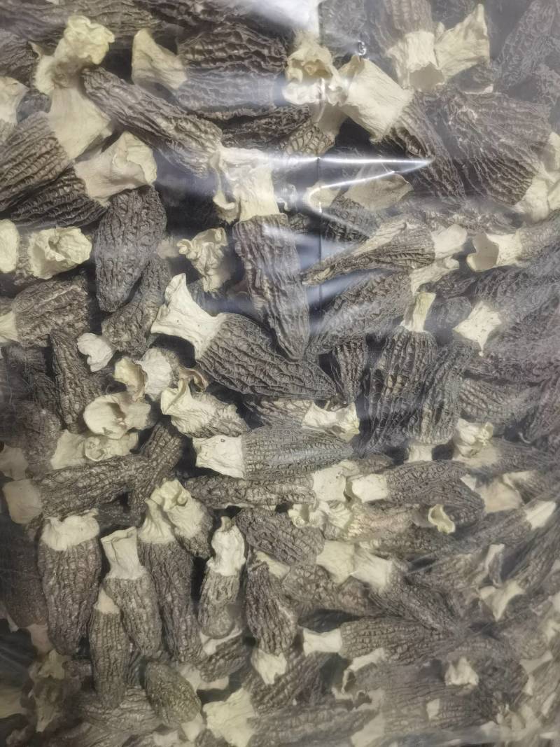 羊肚菌干货