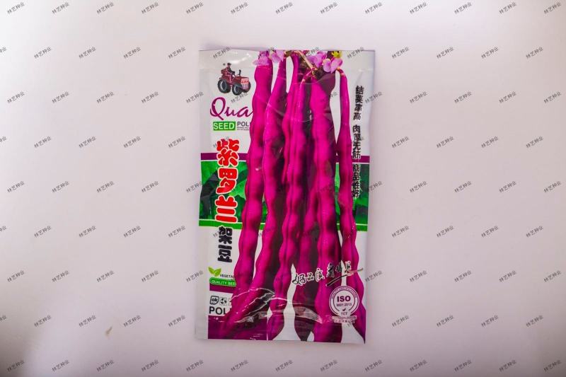 紫罗兰架豆种子紫豆角架豆角种籽大田高产高抗病紫豆角种子孑