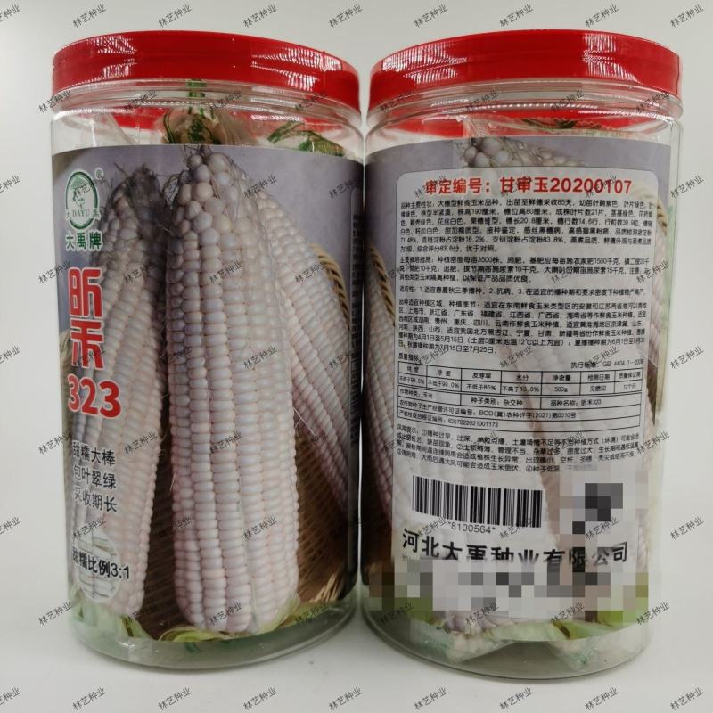 昕禾323玉米种子晚熟大棒白糯可口玉米种籽甜粘糯鲜食白玉