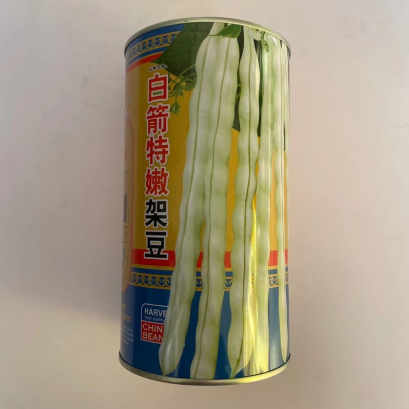 小金豆种子四季架豆中早熟品种种子
