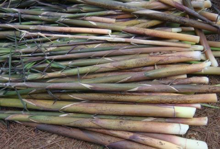 竹笋与健康饮食搭配