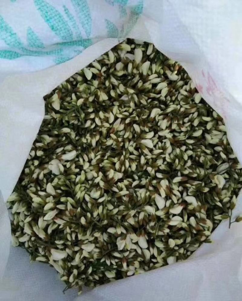槐花
