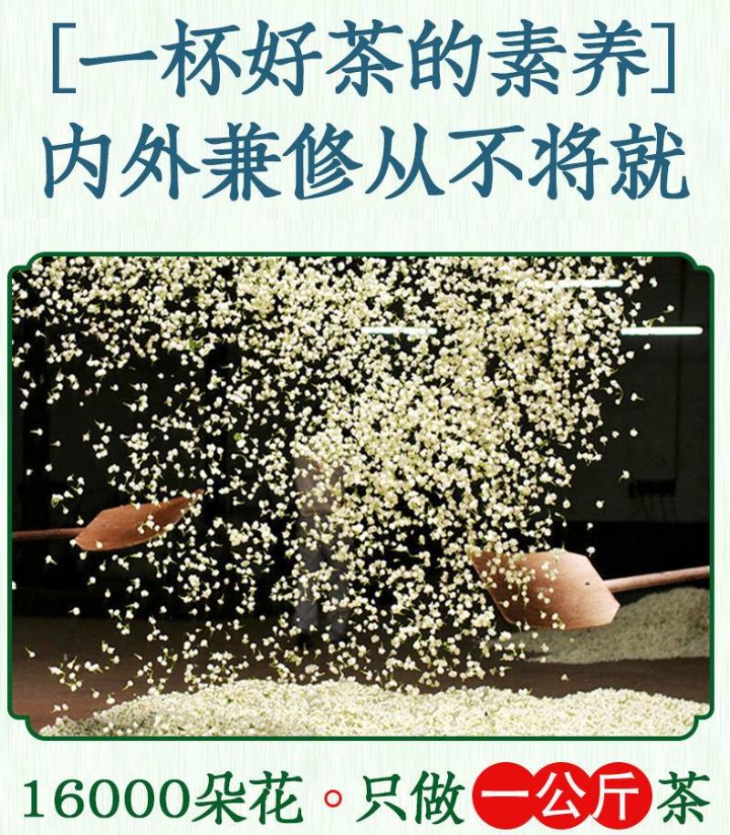 茉莉花茶2022新茶茶叶浓香型茉莉花茶叶北川茉莉花茶商用