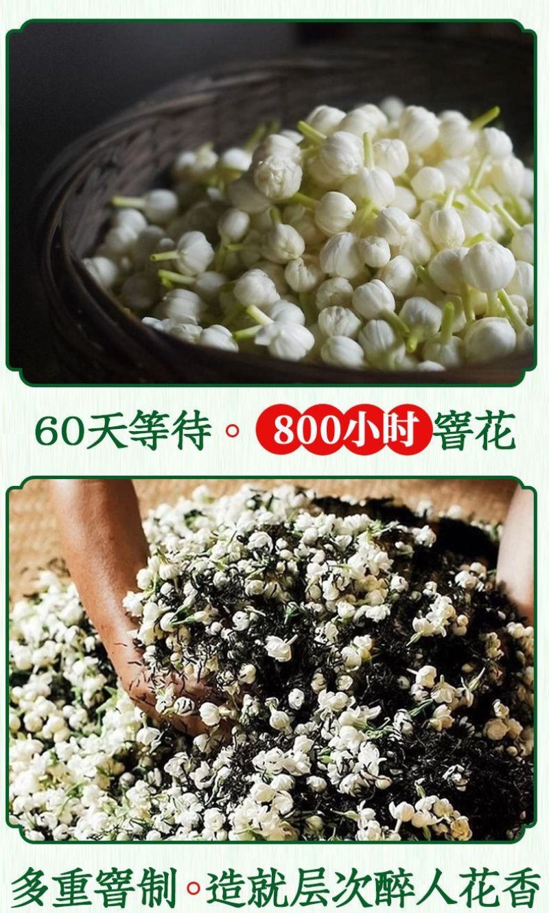茉莉花茶2022新茶茶叶浓香型茉莉花茶叶北川茉莉花茶商用