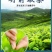 茉莉花茶2022新茶茶叶浓香型茉莉花茶叶北川茉莉花茶商用