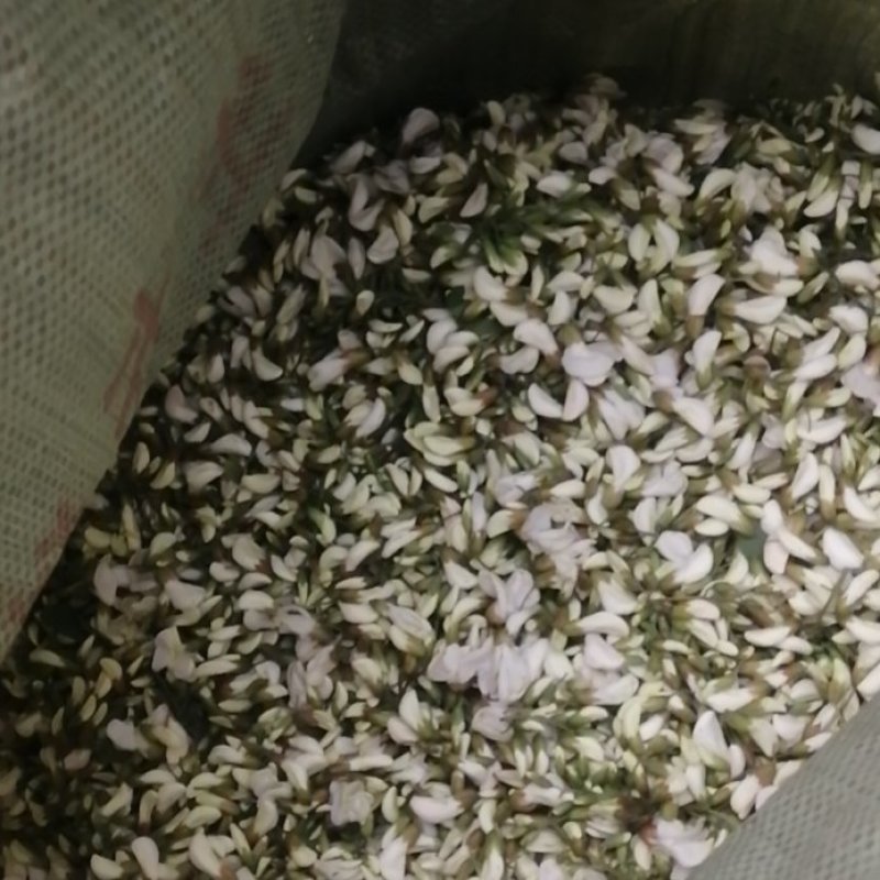 槐花