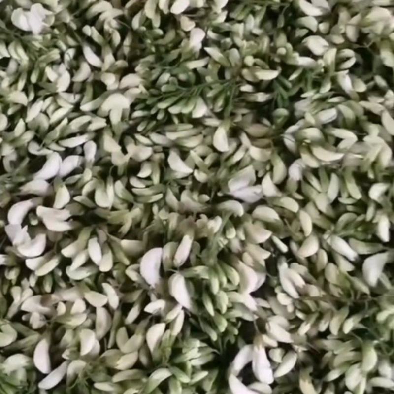 槐花