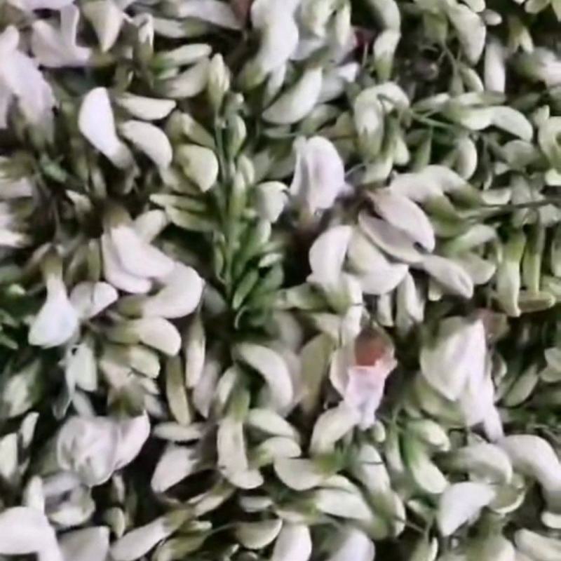槐花