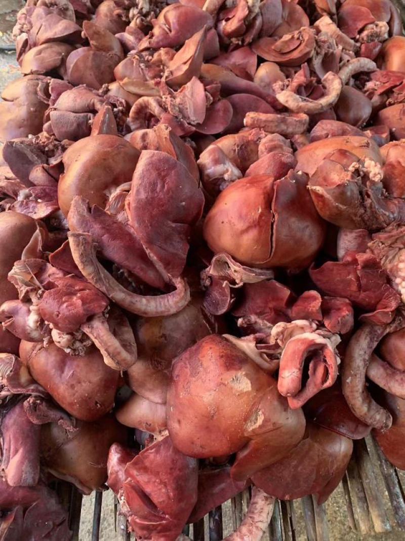 羊杂羊汤馆羊肠汤食材五香十成熟心肝肺纯水煮无碱