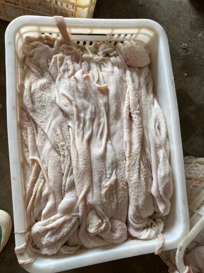 羔羊净肚免洗羊净肚肚包肉肚包脑专用食材工厂直销