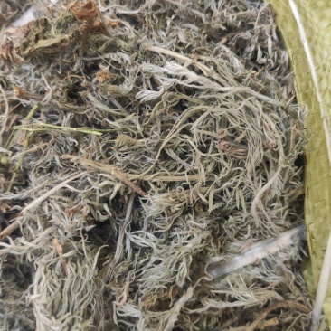 甘肃地区（野生绵茵陈）草药，三月采挖。货源充足，价格便宜