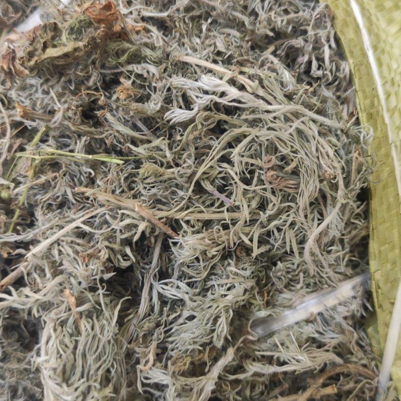 甘肃地区（野生绵茵陈）草药，三月采挖。货源充足，价格便宜