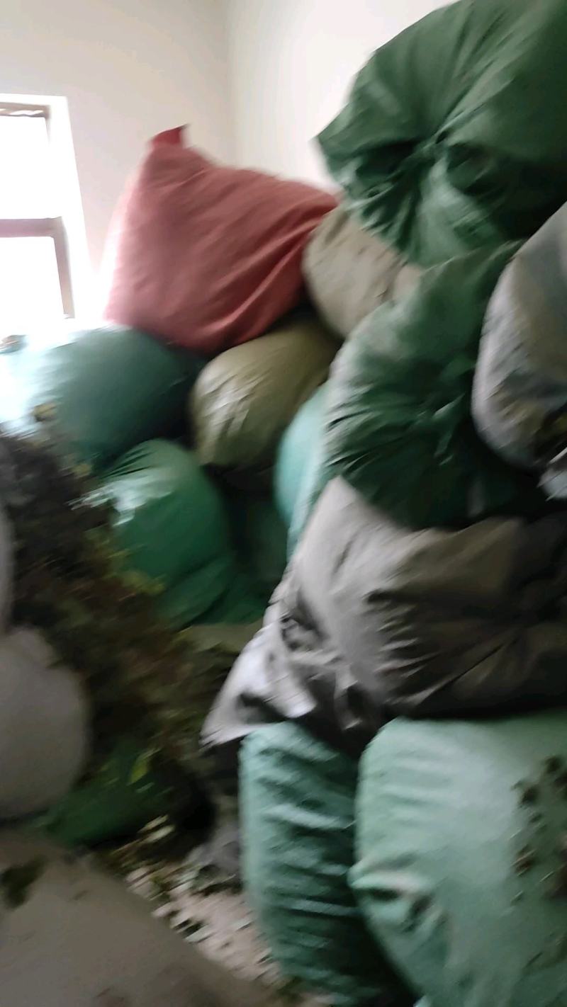 甘肃地区（野生绵茵陈）草药，三月采挖。货源充足，价格便宜