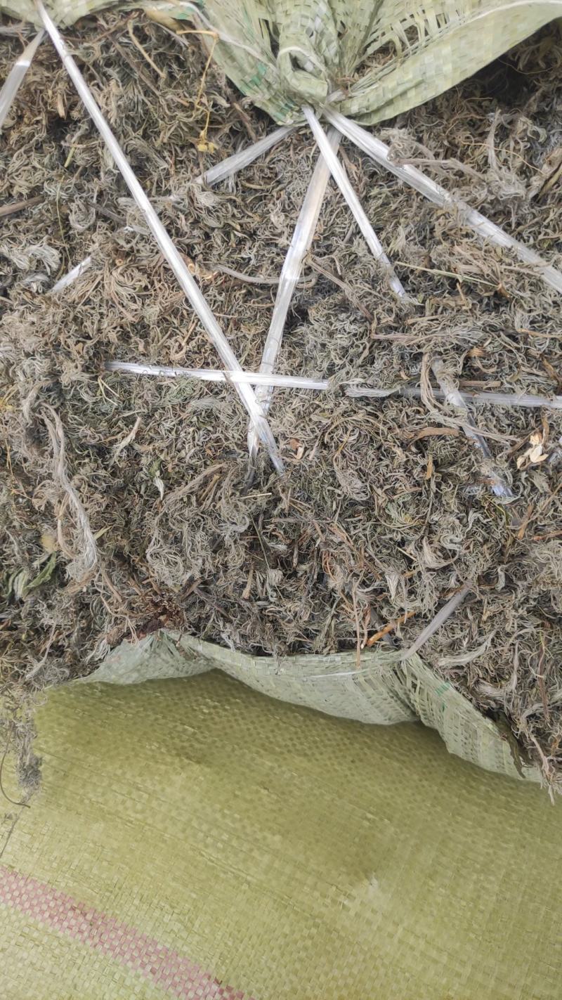甘肃地区（野生绵茵陈）草药，三月采挖。货源充足，价格便宜