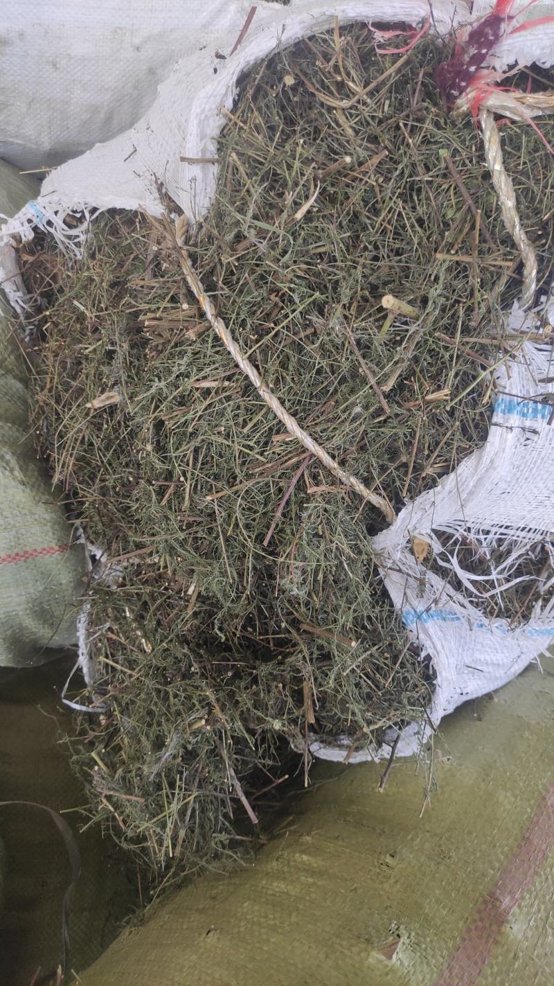 甘肃地区（野生绵茵陈）草药，三月采挖。货源充足，价格便宜