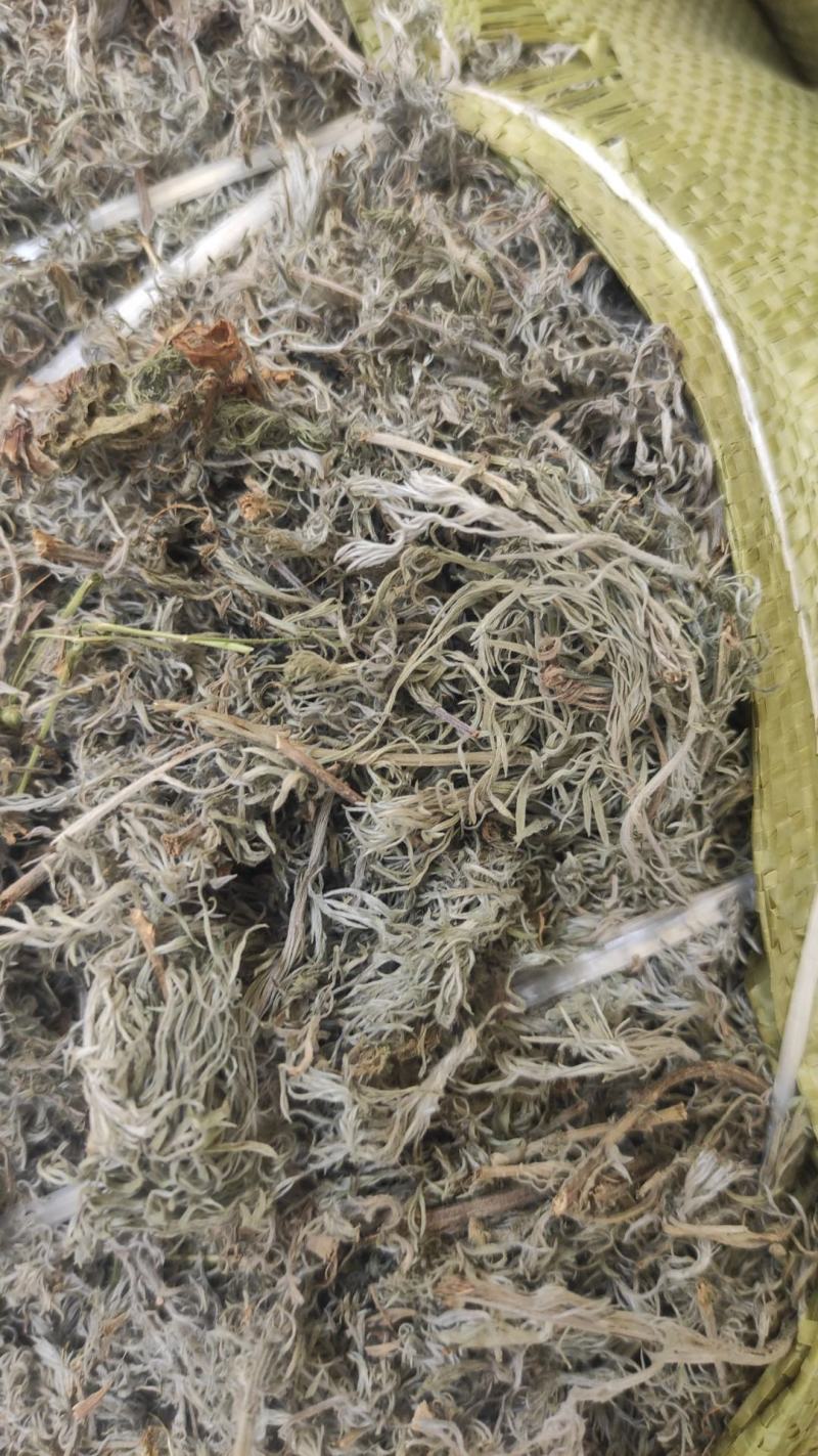 甘肃地区（野生绵茵陈）草药，三月采挖。货源充足，价格便宜