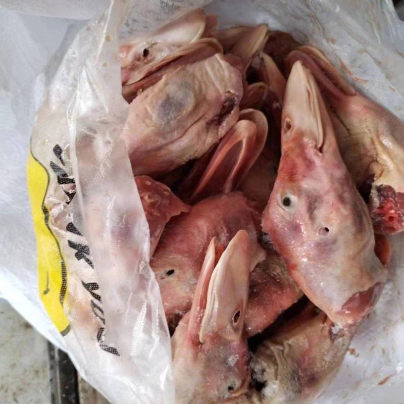 白条鸭头