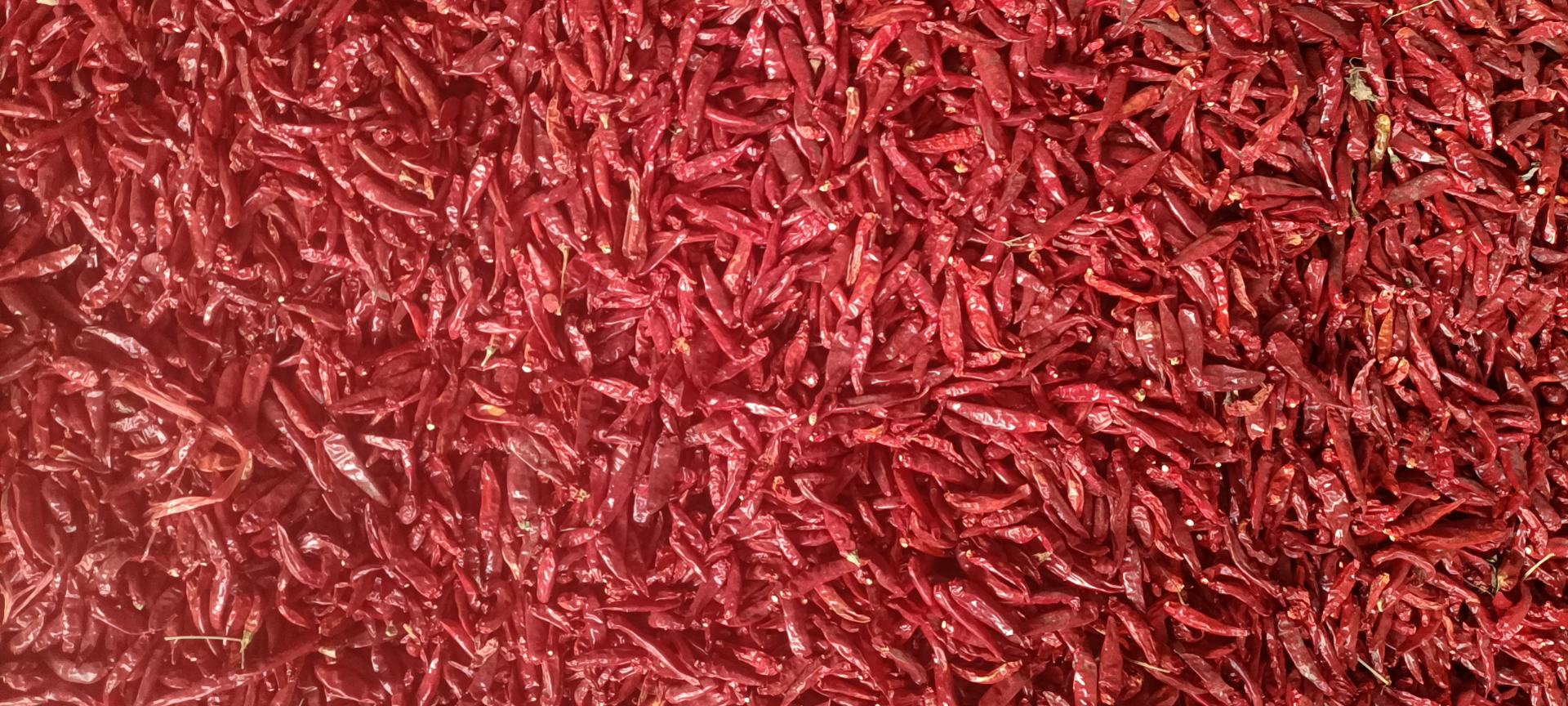 牛角椒在菜肴中的使用示例