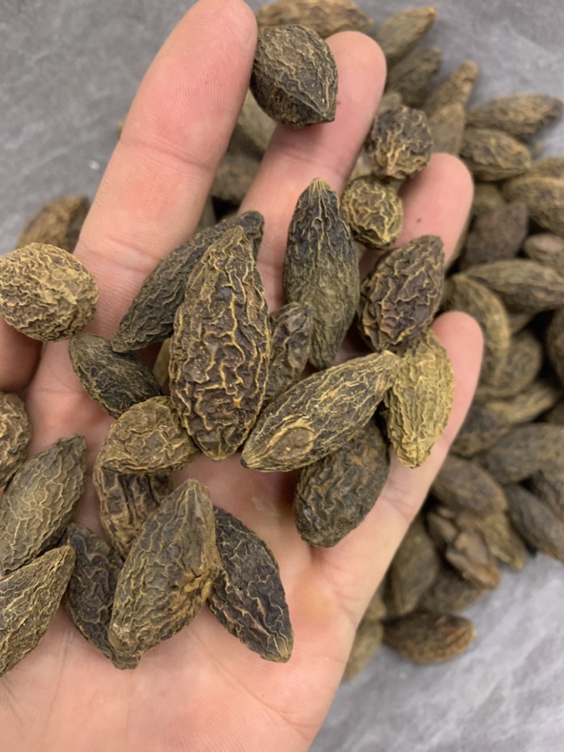 橄榄果橄榄核橄榄无硫磺熏蒸一公斤起批