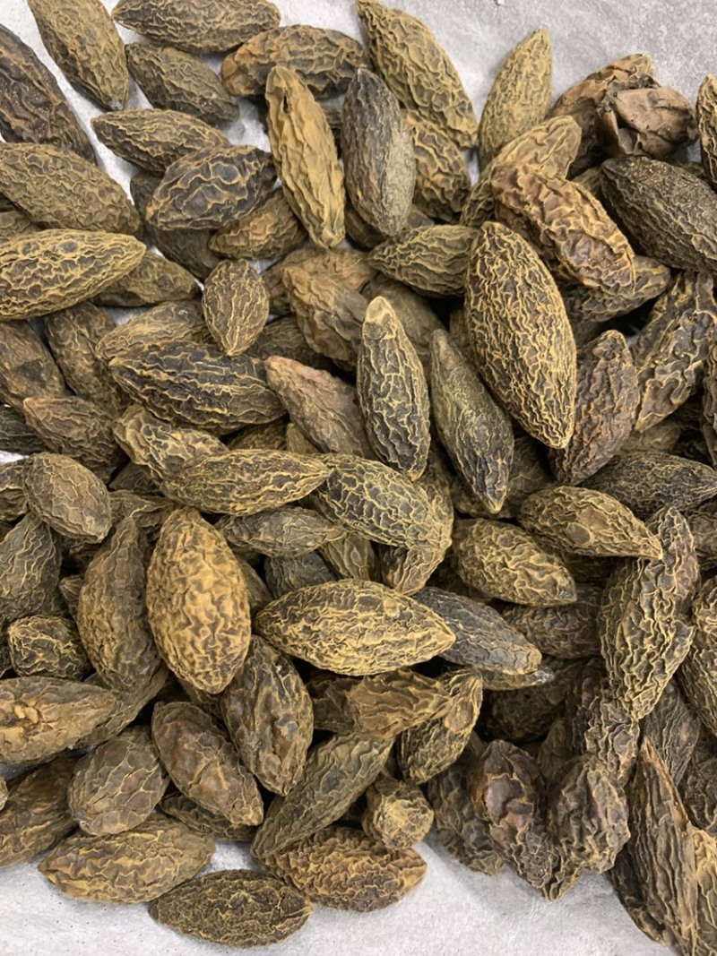 橄榄果橄榄核橄榄无硫磺熏蒸一公斤起批