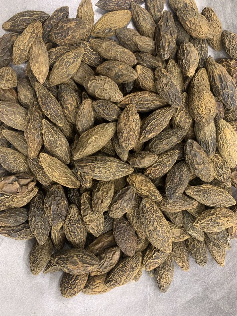 橄榄果橄榄核橄榄无硫磺熏蒸一公斤起批