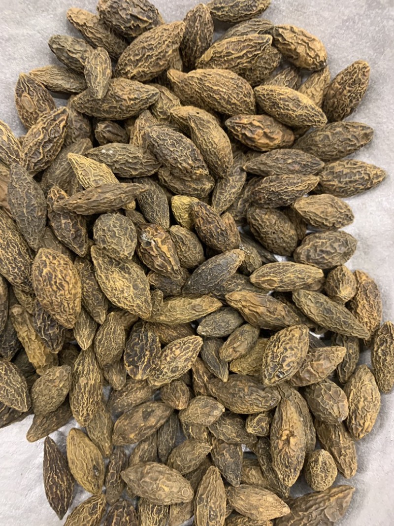 橄榄果橄榄核橄榄无硫磺熏蒸一公斤起批
