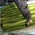 山东瓠子大量上市品质保证一手货源量大从优欢迎联