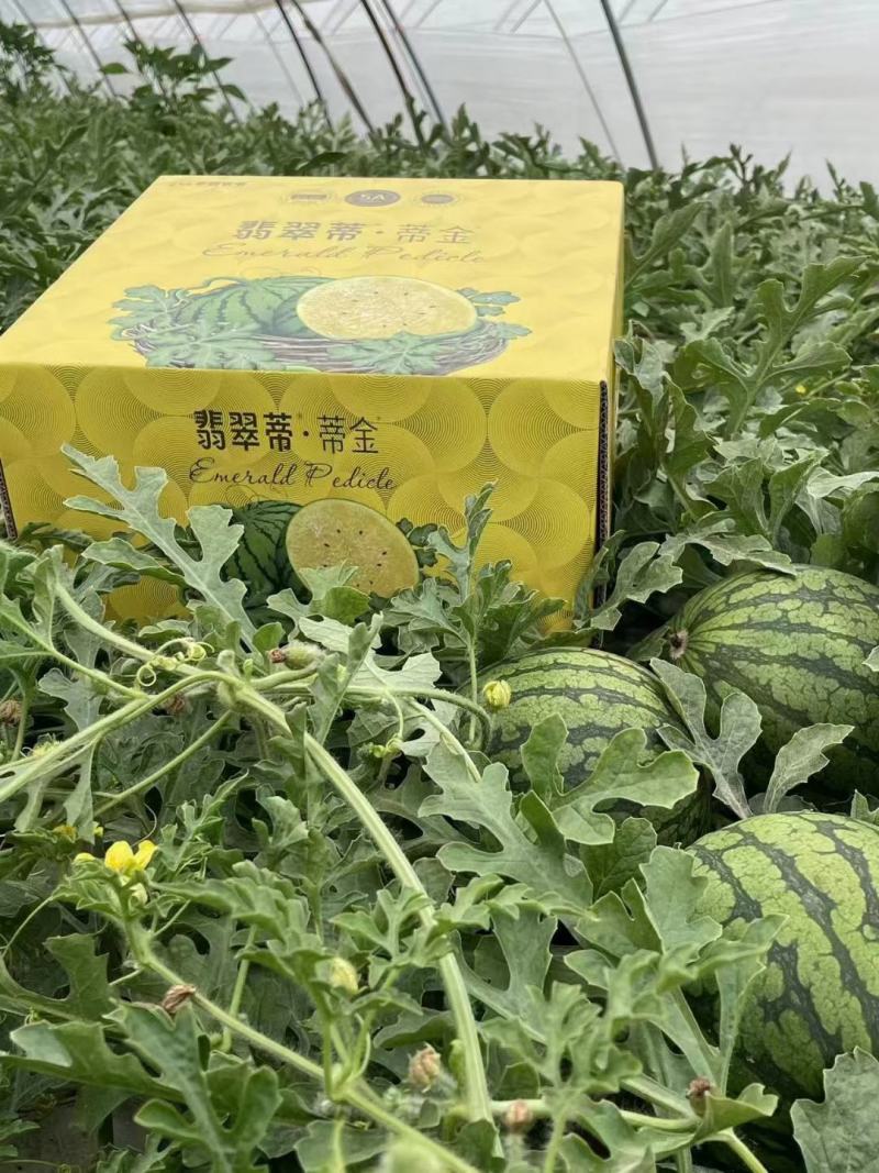 【精品西瓜】农友特小凤小兰，皮薄，黄心，甜度高，欢迎选购