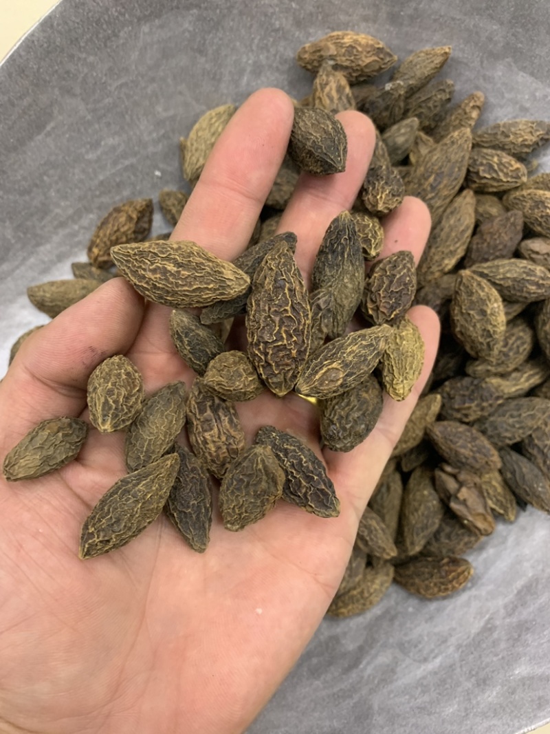 橄榄果橄榄核橄榄无硫磺熏蒸一公斤起批