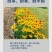 黑心菊花种子金光菊花种籽子多年生耐寒四季种易活庭院室外植