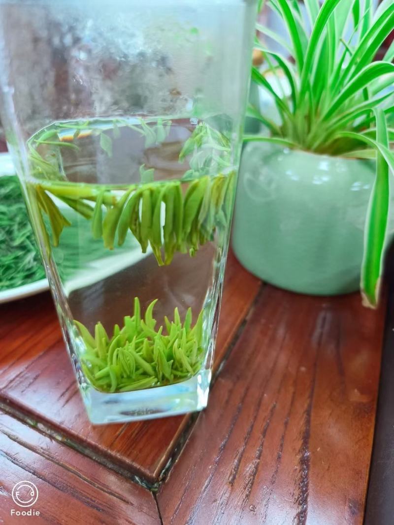 恩施玉露茶绿茶明前茶